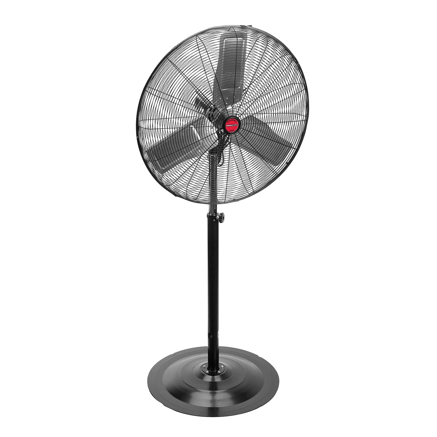 Pedestal Fans